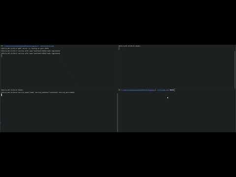 basic centralized discovery