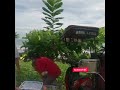 Fishing Villages In The Philippines