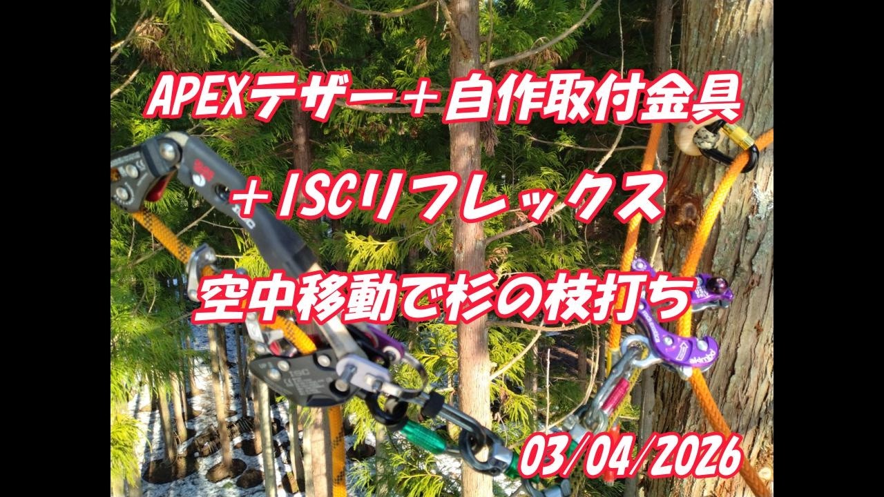 自作したAPEXテザーの取付金具を着けて枝打ち空中移動：大源太農園20260403