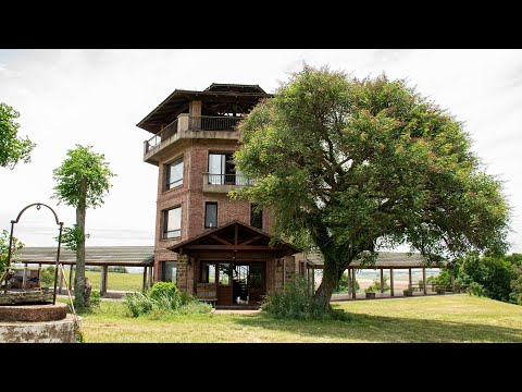 El ciclo de las 4 estaciones en el viñedo de Bodega Cerro Chapeu, Uruguay | Vendimia y Poda