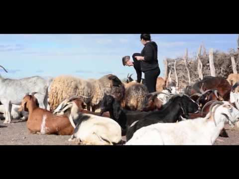 PUESTO DIAZ - LAVALLE