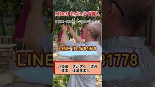 #日本株 #日経平均 #株式投資 #テクニカル分析 #投資戦略 #短期投資 #長期投資 #株初心者 #資産運用 #資産形成 #高配当株 #株価予測 #トレード初心者