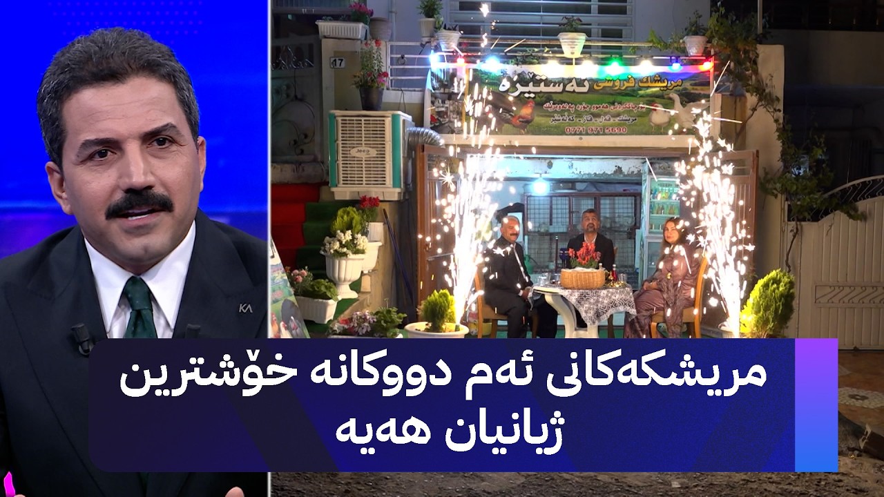 ڤیدیۆ | مریشکەکانی ئەم دووکانە خۆشترین ژیانیان هەیە