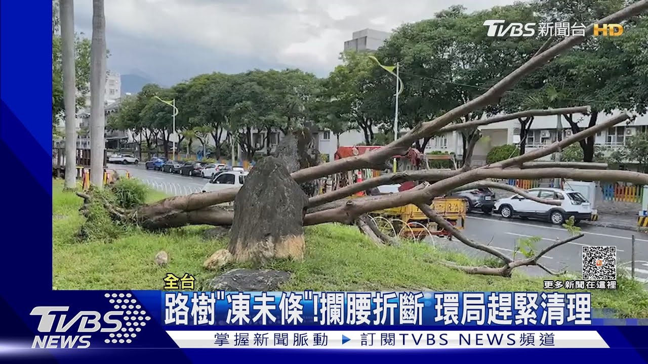 瑪娃散步中!蘭嶼颳強風 漁港遭強浪襲擊