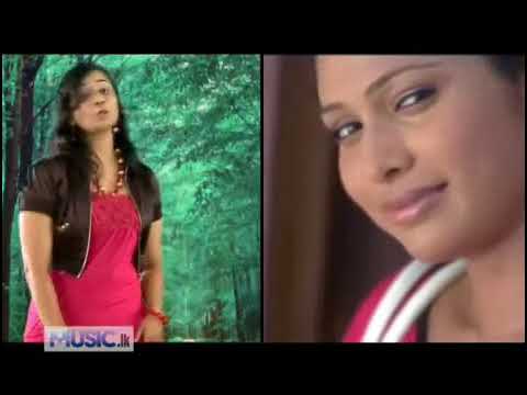 Thumba Mal Wikasitha Ananthayata   Niluka Ft Killer B   Music lk