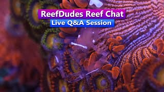 ReefDudes - Live Q&A Saltwater Aquarium Chat
