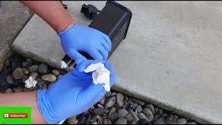 How to diagnose and clear engine code P0440 on Toyota and other cars