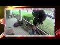 AFV Honorable Mentions Season 32 Episode 5