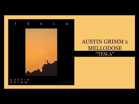 Austin Grimm x Mellodose - “Tesla”