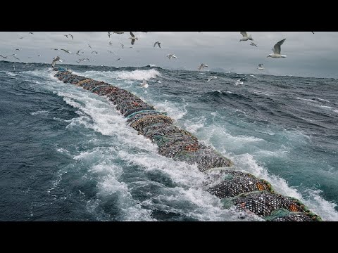 Unbelievable Big Catch Fishing In The Deep Sea With Big Boat. Frozen Fish Cutting Processing Line