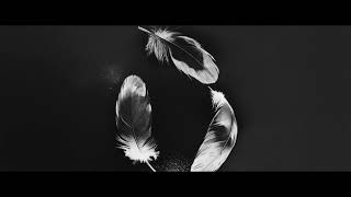 Download lagu SLANDER & NGHTMRE - Free (ft. Zohara) mp3