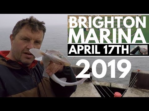 Sea Fishing Brighton Marina