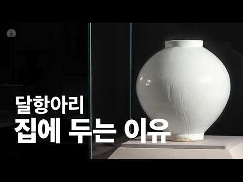 달이 떠오른 순간 | 다보성 특집