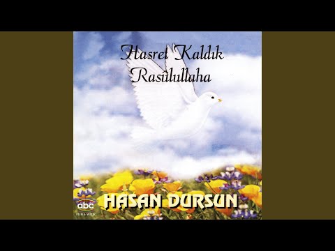 Hasret Kaldık Rasulullaha