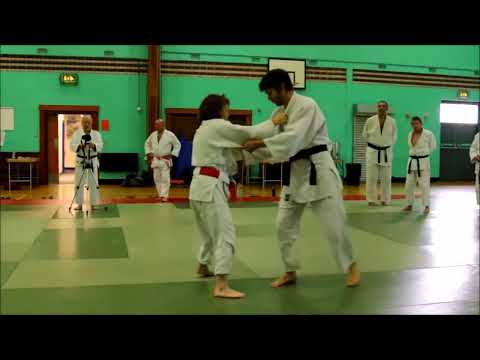 19 Tsugi Ashi   With Resistance - Jane Bridge Enhancing BJC Coaching Skills Part 4