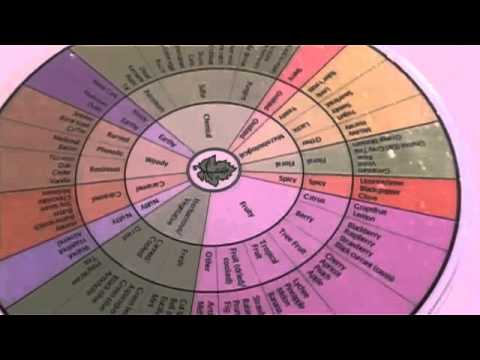 download lagu mp3 mp4 Cheese Aroma Wheel, download lagu Cheese Aroma Wheel gratis, unduh video klip Cheese Aroma Wheel