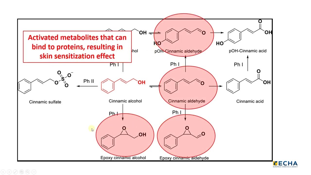 42: Observed metabolism Part 1
