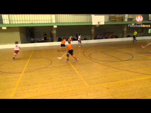 S1: Rīgas Lauvas - Irlava/Tukums 11:0 (22.02.2015)