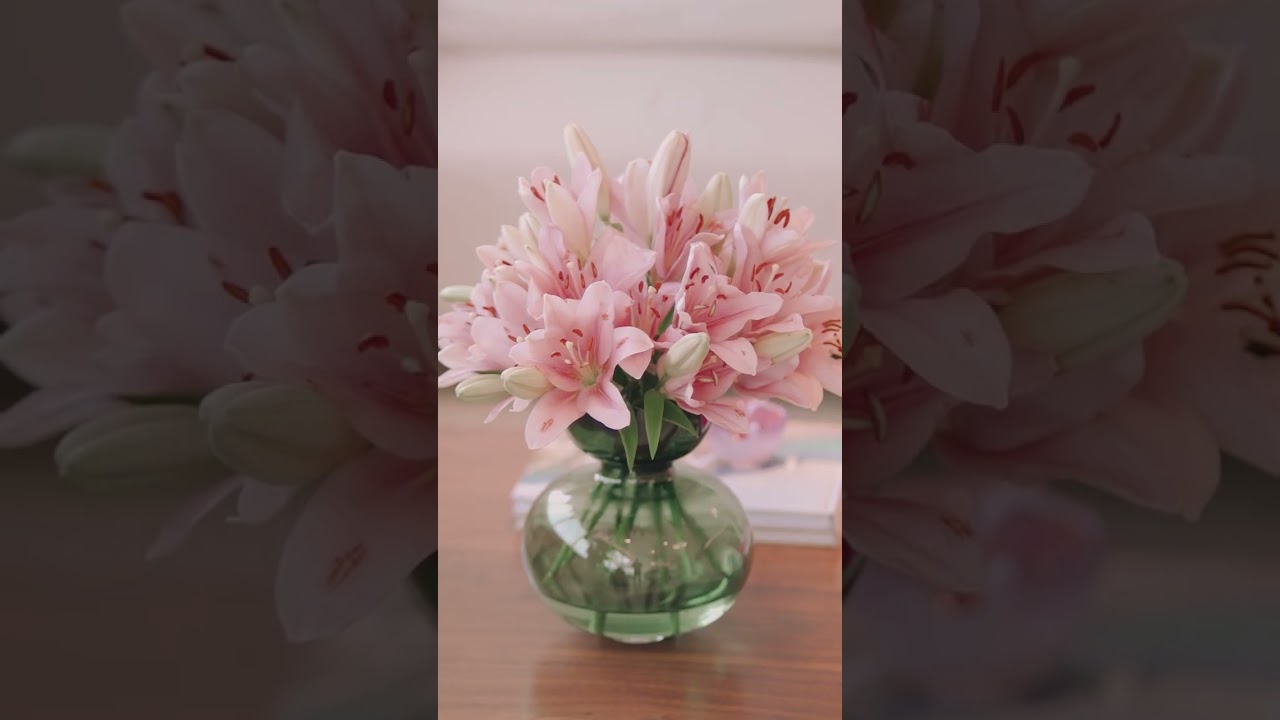 Gabriela Guliatto-23