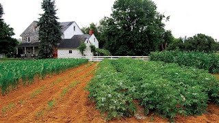 griefing My own base Winston #2b2e #2b2tmcpe #2b2tpe