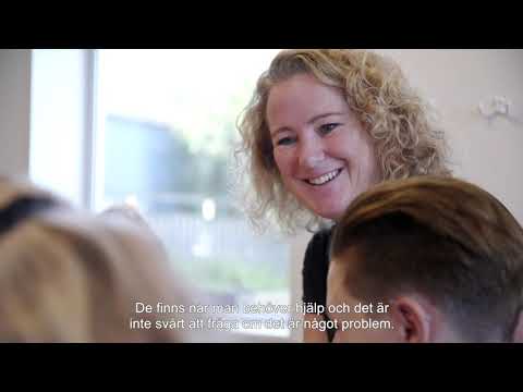 Hund på Realgymnasiet