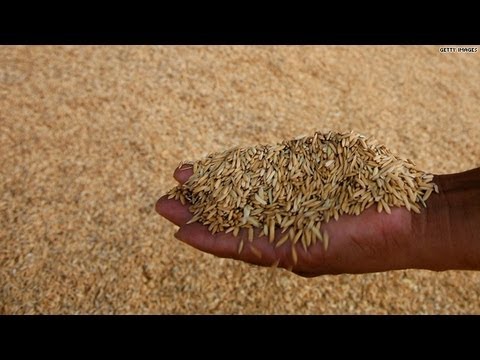 Is there arsenic in your rice?