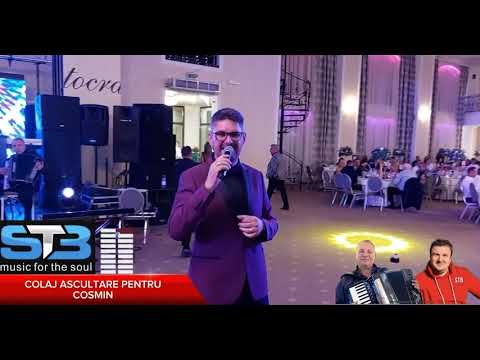 AM AVUT O VIATA TARE FERICITA - DANIEL CHITULESCU SI SERGIU TUDOR LIVE PENTRU COSMIN