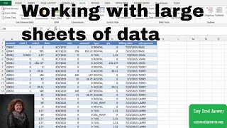 Working with large sheets of data in Excel
