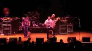 Sick of it All - Paper Tiger