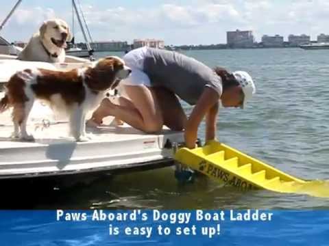 download lagu mp3 mp4 Paws Aboard Ladder Instructions, download lagu Paws Aboard Ladder Instructions gratis, unduh video klip Paws Aboard Ladder Instructions