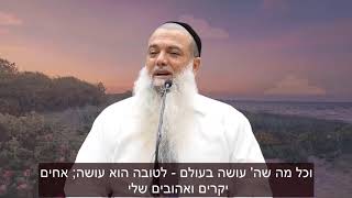 "שומעת את הרב יגאל כהן בלילות" - שיר של הזמר חיים איפרגן - "יש לי קול מרדים"