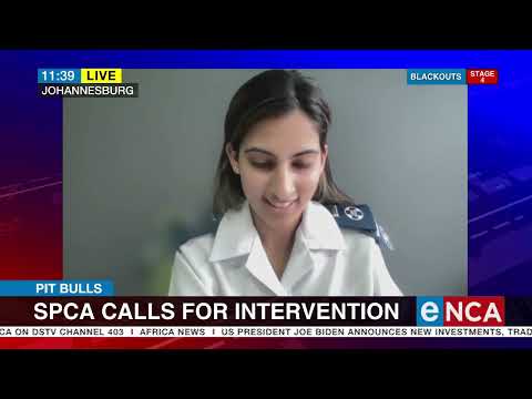 Pit bulls | SPCA calls for intervention