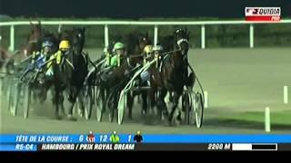 Västerbo My Life-Prix Royal Dream