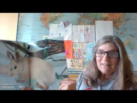 In the Woods: Who's Been Here?