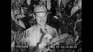 Jacare (1942) Pt 2