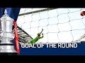 Goals of the Round: The FA Cup Fourth Round 2013-14