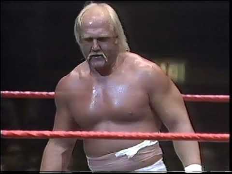 Hulk Hogan vs. Randy Savage (partial)