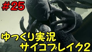 【ゆっくり実況】サイコブレイク２の世界を魔理さんぽ　＃２５