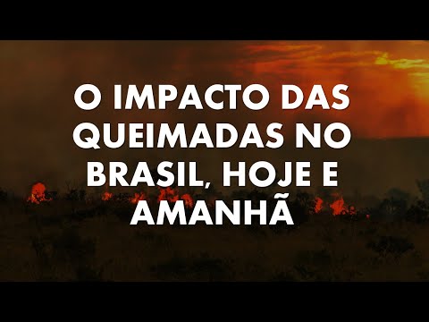 O Impacto das queimadas no Brasil, hoje e amanhã