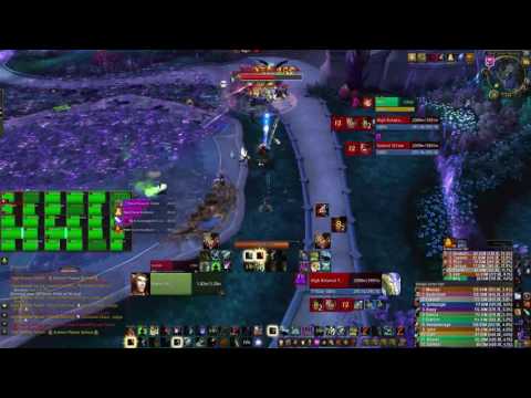 Heroic High Botanist Tel'arn Kill