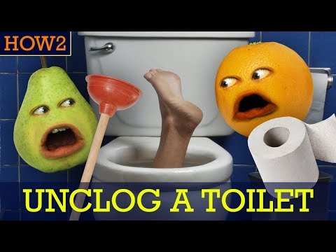 HOW2: How to Unclog a Toilet!