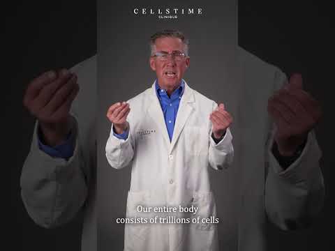 Everything You Need to Know About Stem Cell Therapy Procedures Available in Mexico 