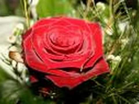 Hitao je sinak-by SKUNDRO