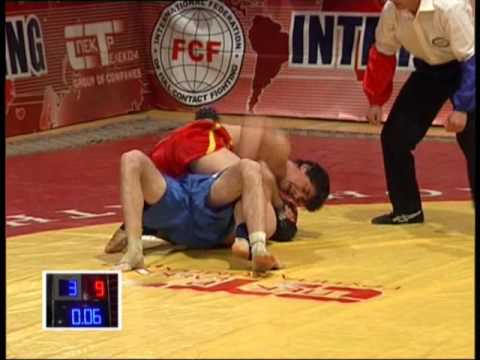 2. Professional MMA combats
