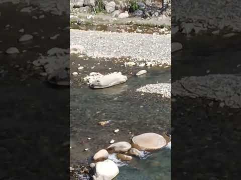 Shalvi Nadi Nerwa♥️