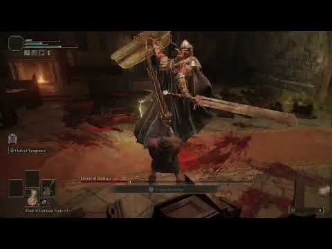 Elden Ring *ELEMER of the BRIAR* No Grind No Shield Blind Run