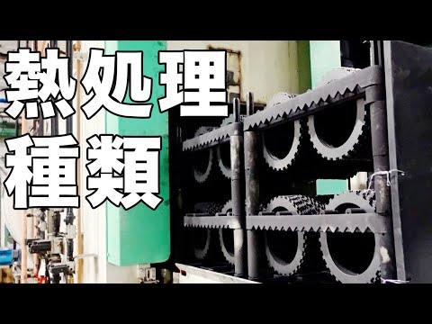 カトリチ科について詳しく解説