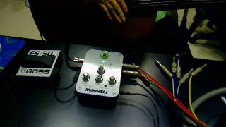 Video thumbnail for Fishman AFX Delay by SydneyShiu