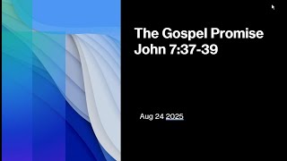 Gospel Promise