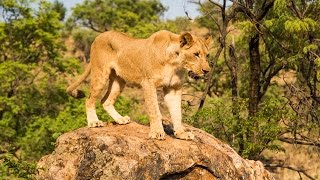 VOLUNTEERING IN SOUTHERN AFRICA